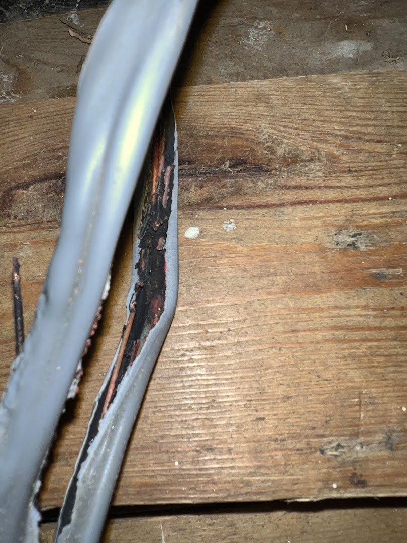 Robbie Electrical Services Ltd · Photos 11